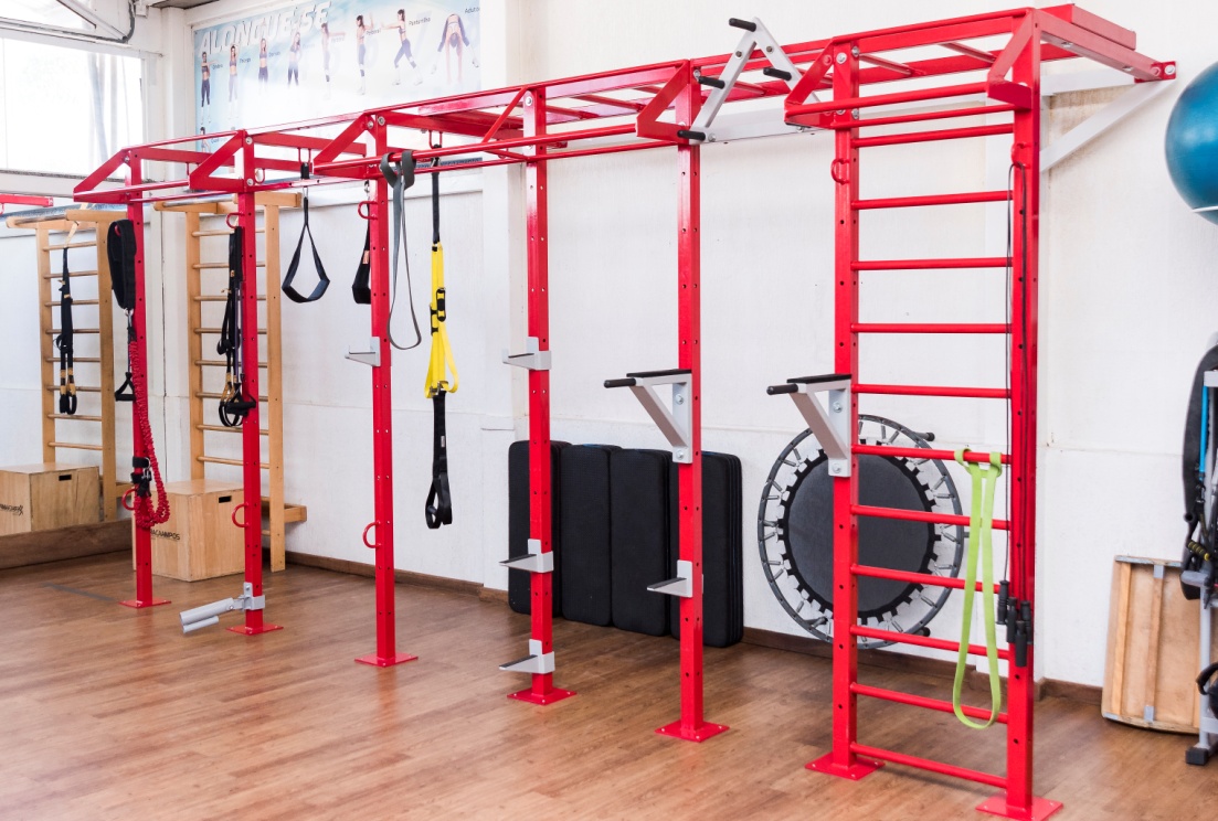 GAIOLA / RACK VIP 2